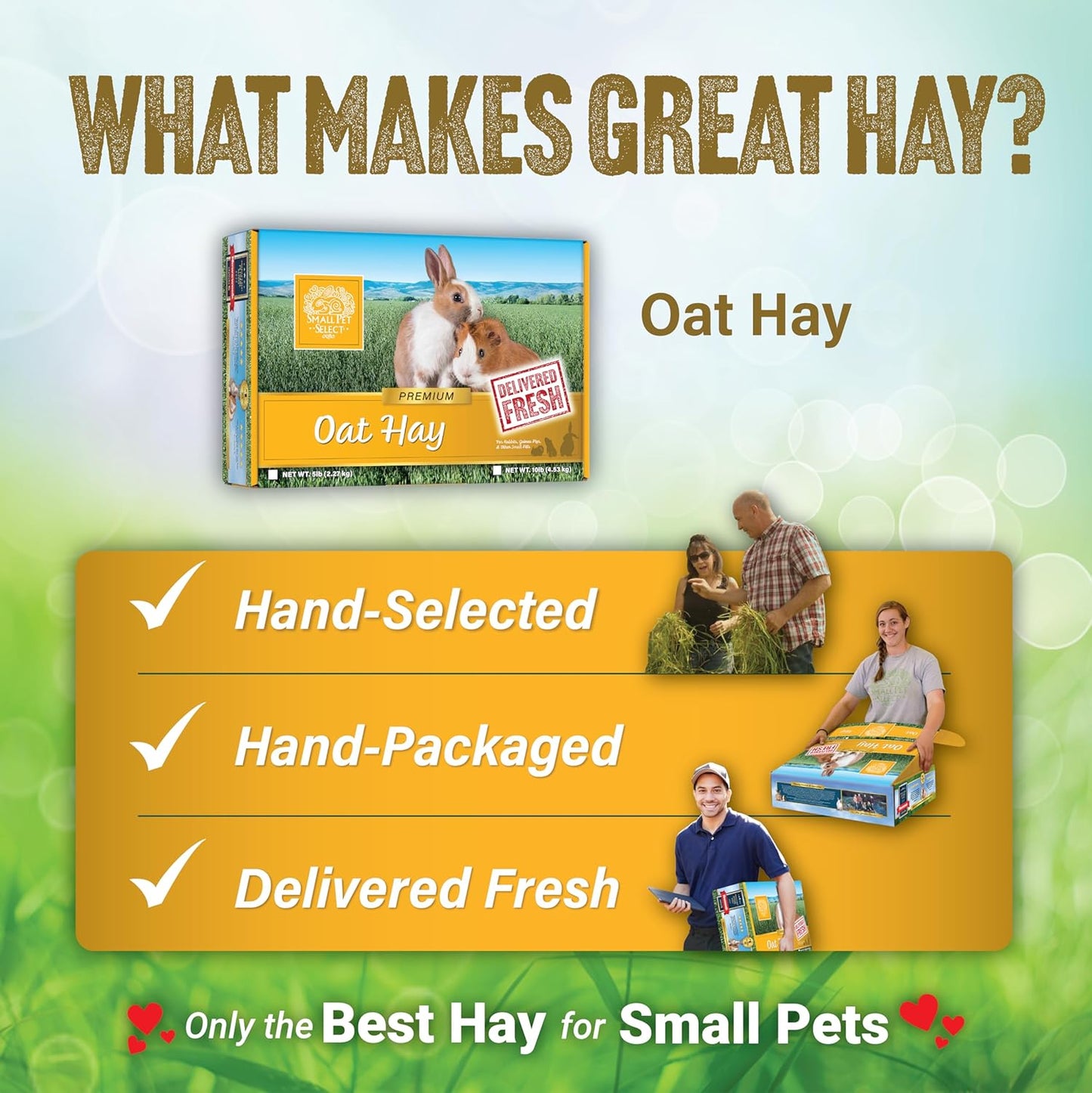 Oat Hay Pet Food, 20 Lb.