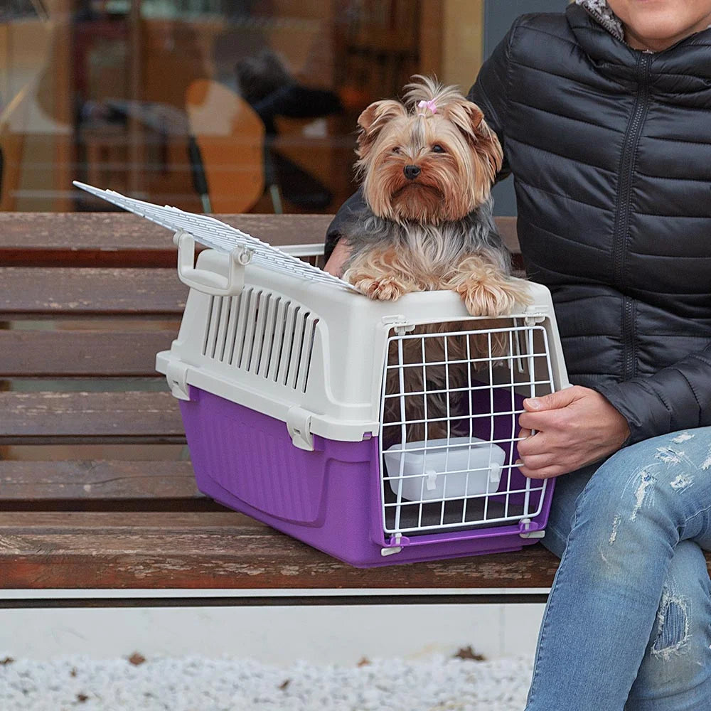 Furplast, 19-Inch ATLAS with Two Doors Top Load Access Plastic Cat or Small Pet Carrier, Purple