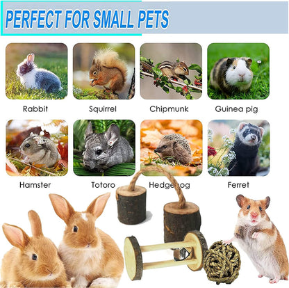 13Pcs Guinea Pigs Toys, Bunny Toys for Rabbits Indoor,For Pet Rabbits, Guinea Pigs, and Chinchillas