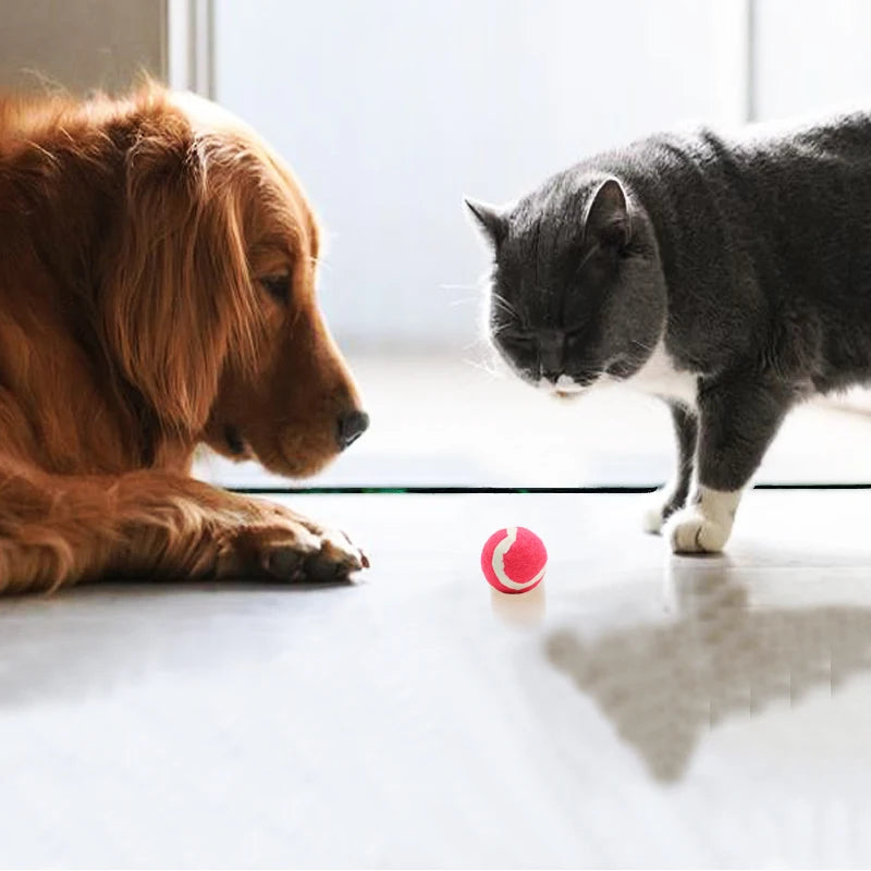 Pet Tennis Small Tennis Balls Dog Balls 38Mm Tennis Balls 10Pcs Cat and Dog Tennis