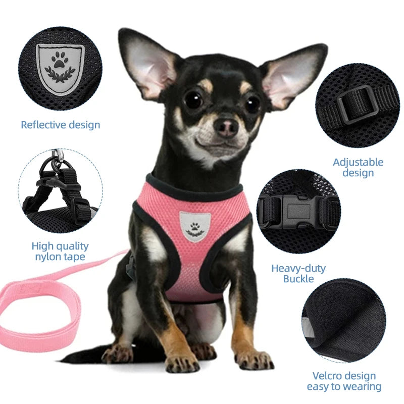 Cat Harness Leash Set for Small Dogs Adjustable Puppy Cat Harness Vest French Bulldog Chihuahua Pug Outdoor Walking Lead Leash