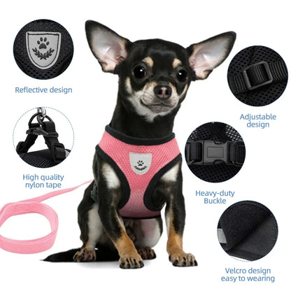 Cat Harness Leash Set for Small Dogs Adjustable Puppy Cat Harness Vest French Bulldog Chihuahua Pug Outdoor Walking Lead Leash