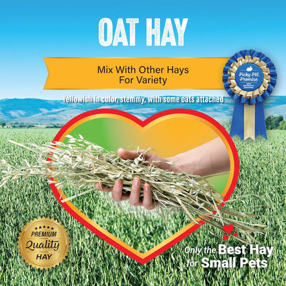 Oat Hay Pet Food, 20 Lb.