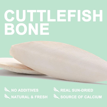 Natural Cuttlebone for Birds Parakeets Canaries Cockatiels Small Conures Mynahs Toucans African Greys All Parrots Snails Totoise, with Holder for Bird Cage (5.5-6 Inch,2Pcs)
