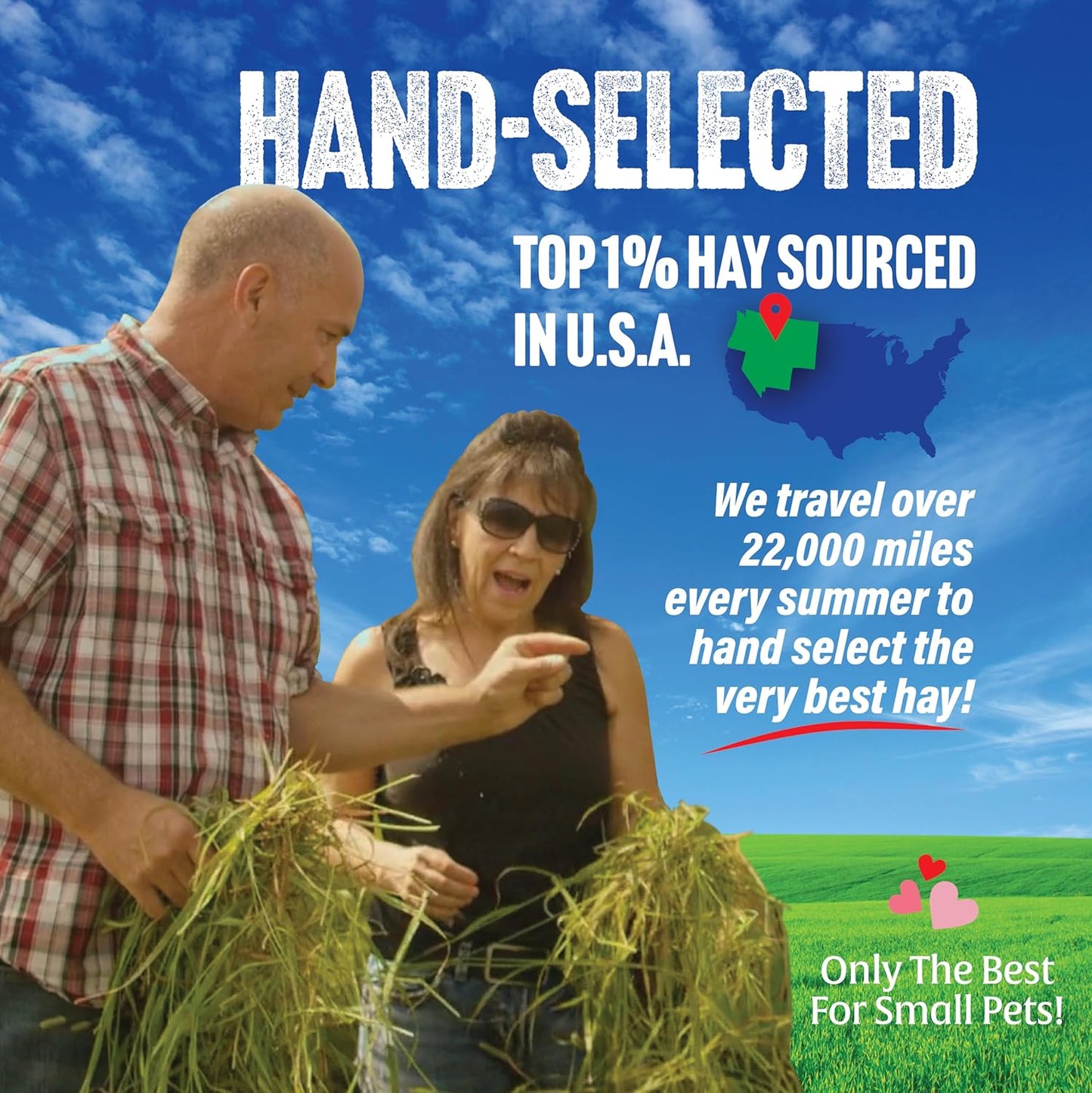 Oat Hay Pet Food, 20 Lb.