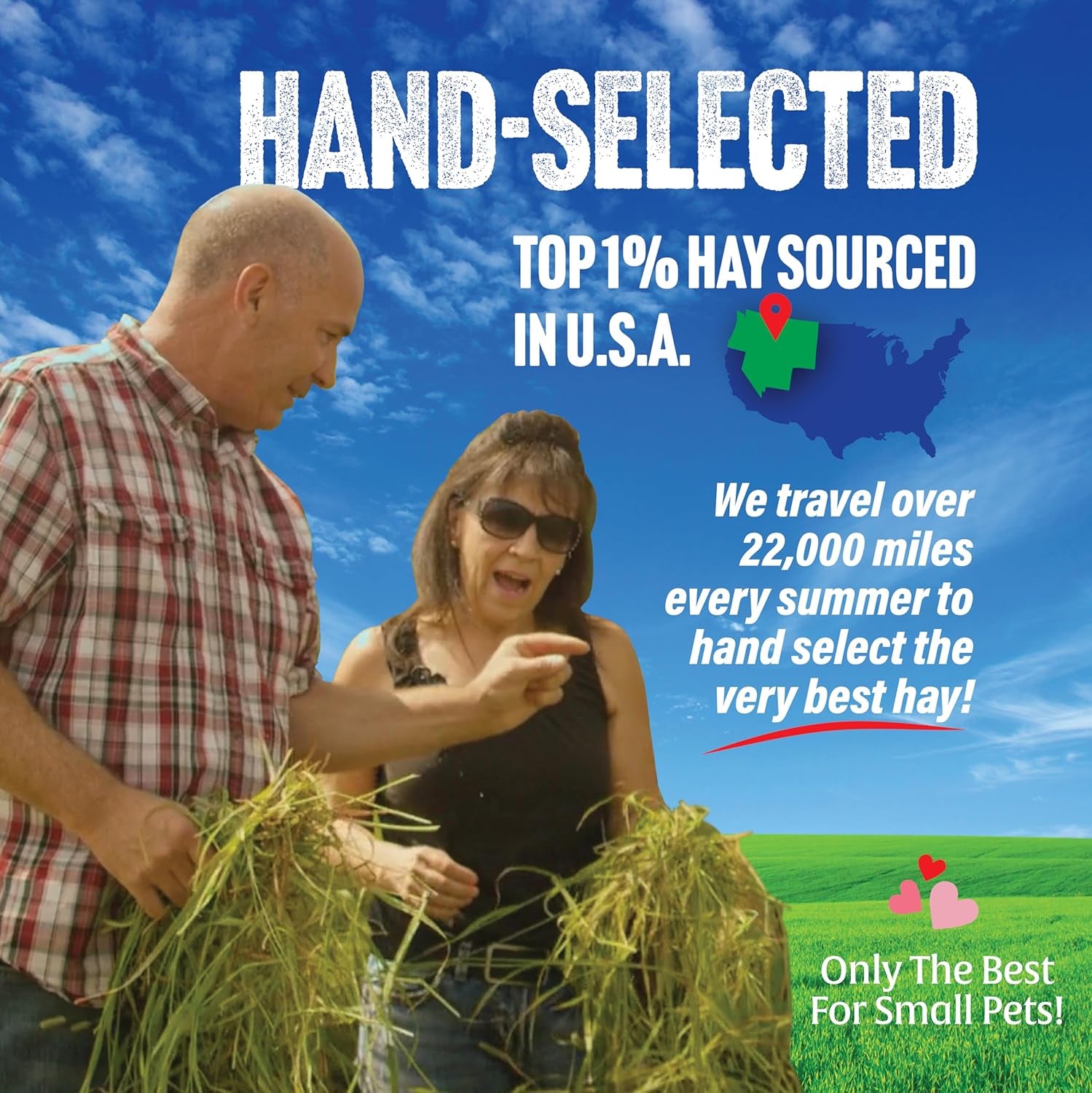 Oat Hay Pet Food, 20 Lb.