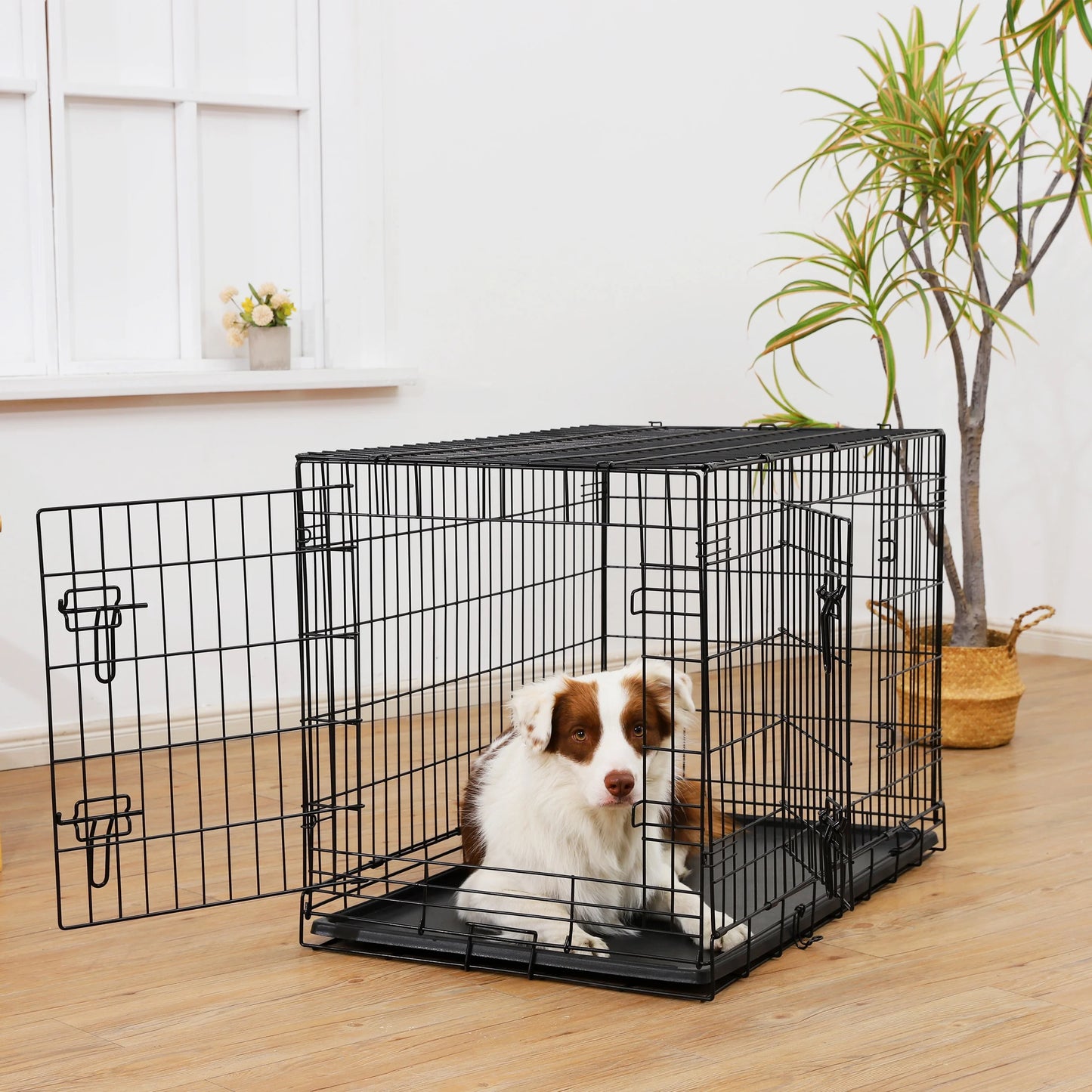 Wire Dog Crate, Double-Door, Divider and Leak-Proof Tray, Metal, Foldable, Durable, Black, 36"