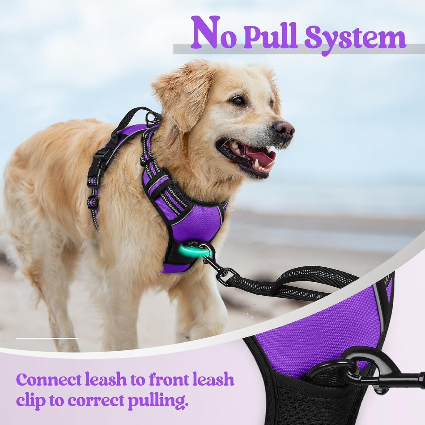 Dog Harness, No Pull Pet Harness with 2 Leash Clips, Adjustable Soft Padded Dog Vest, Reflective Outdoor Pet Oxford Vest with Easy Control Handle for Small Dogs, Purple