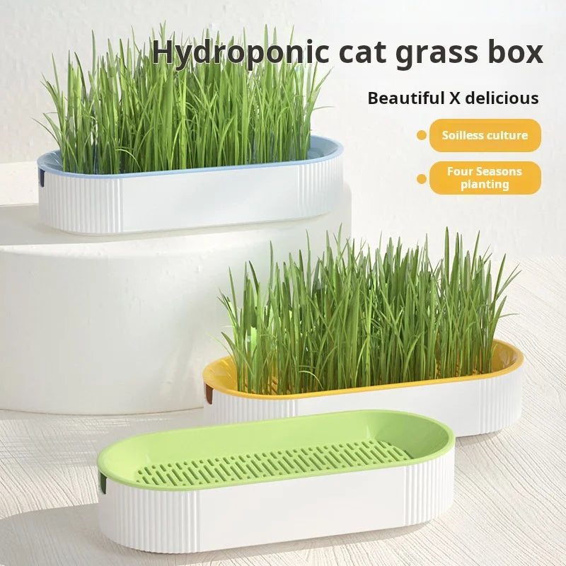 Hydroponic Cat Grass Box Cat Treats Catnip Hydroponic Soilless Planting Cat Grass Pot Set for Easy Growth