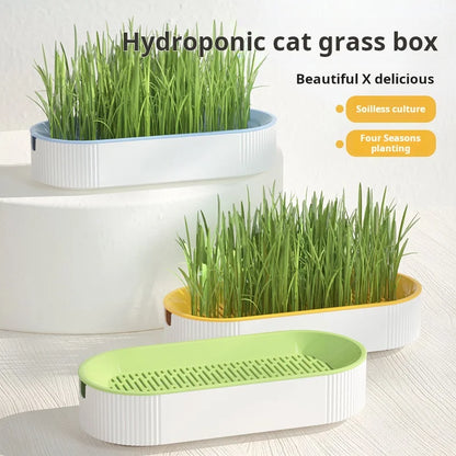 Hydroponic Cat Grass Box Cat Treats Catnip Hydroponic Soilless Planting Cat Grass Pot Set for Easy Growth