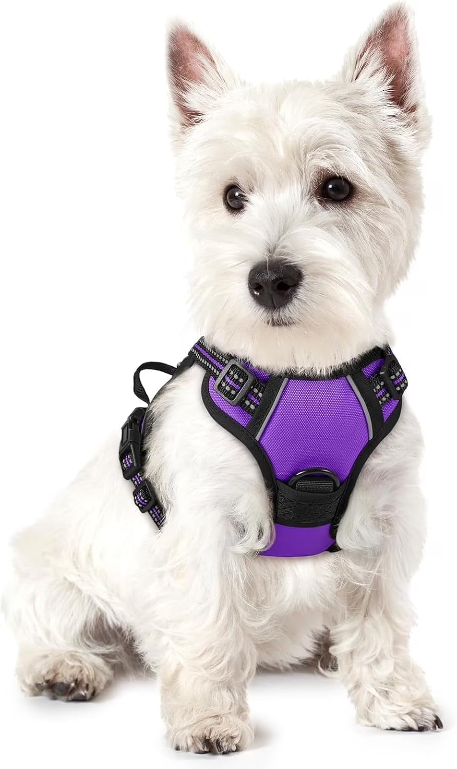 Dog Harness, No Pull Pet Harness with 2 Leash Clips, Adjustable Soft Padded Dog Vest, Reflective Outdoor Pet Oxford Vest with Easy Control Handle for Small Dogs, Purple