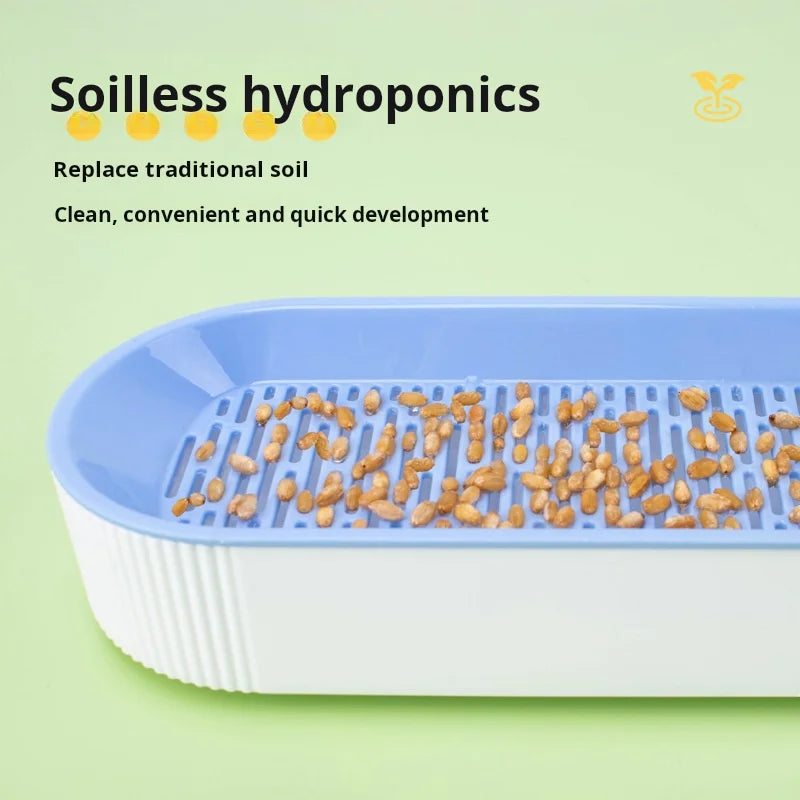 Hydroponic Cat Grass Box Cat Treats Catnip Hydroponic Soilless Planting Cat Grass Pot Set for Easy Growth