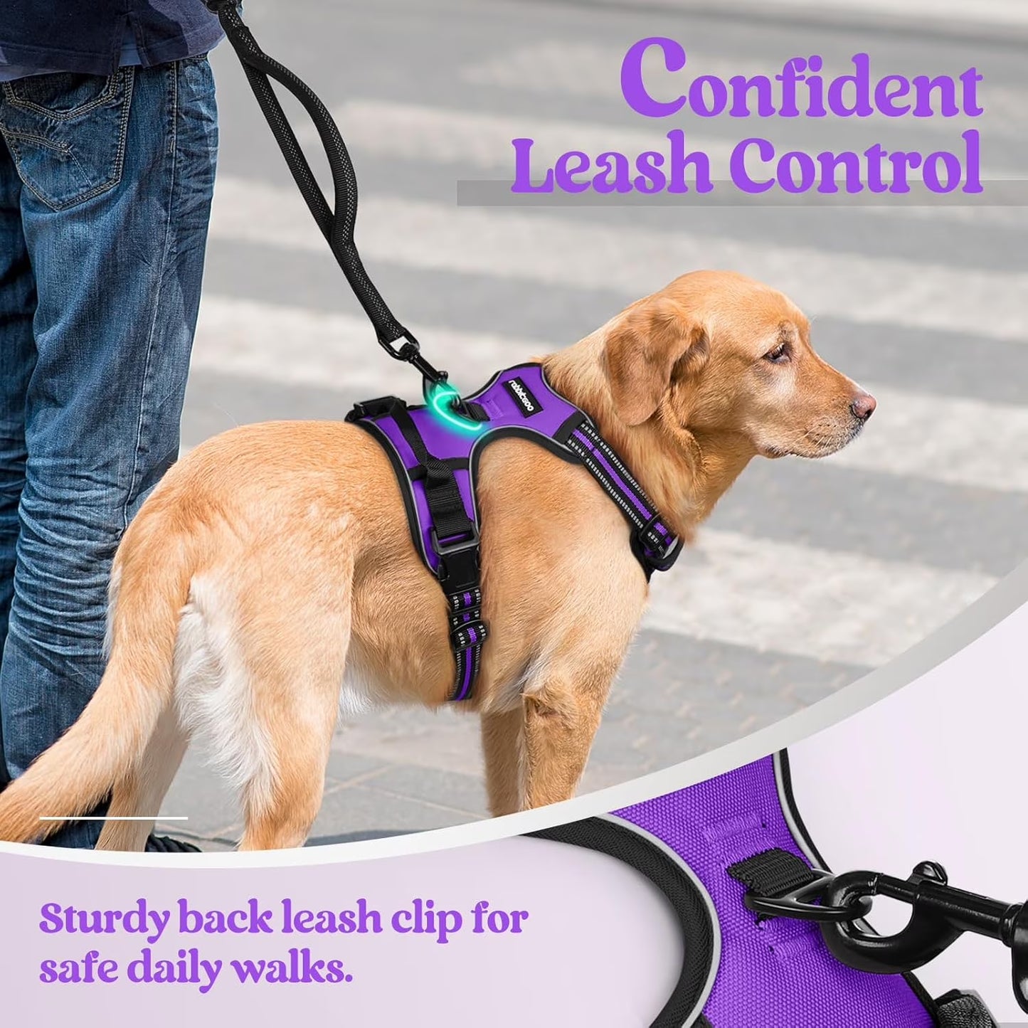Dog Harness, No Pull Pet Harness with 2 Leash Clips, Adjustable Soft Padded Dog Vest, Reflective Outdoor Pet Oxford Vest with Easy Control Handle for Small Dogs, Purple