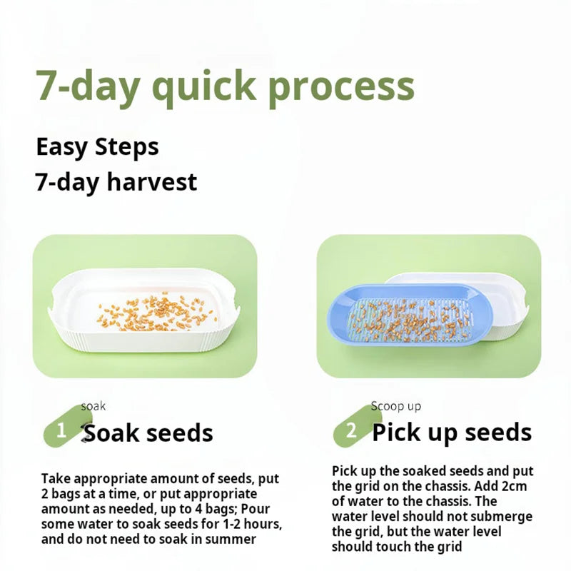 Hydroponic Cat Grass Box Cat Treats Catnip Hydroponic Soilless Planting Cat Grass Pot Set for Easy Growth