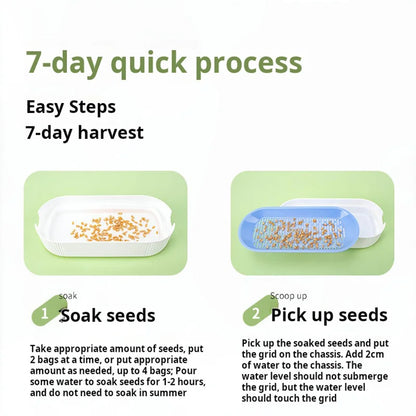 Hydroponic Cat Grass Box Cat Treats Catnip Hydroponic Soilless Planting Cat Grass Pot Set for Easy Growth