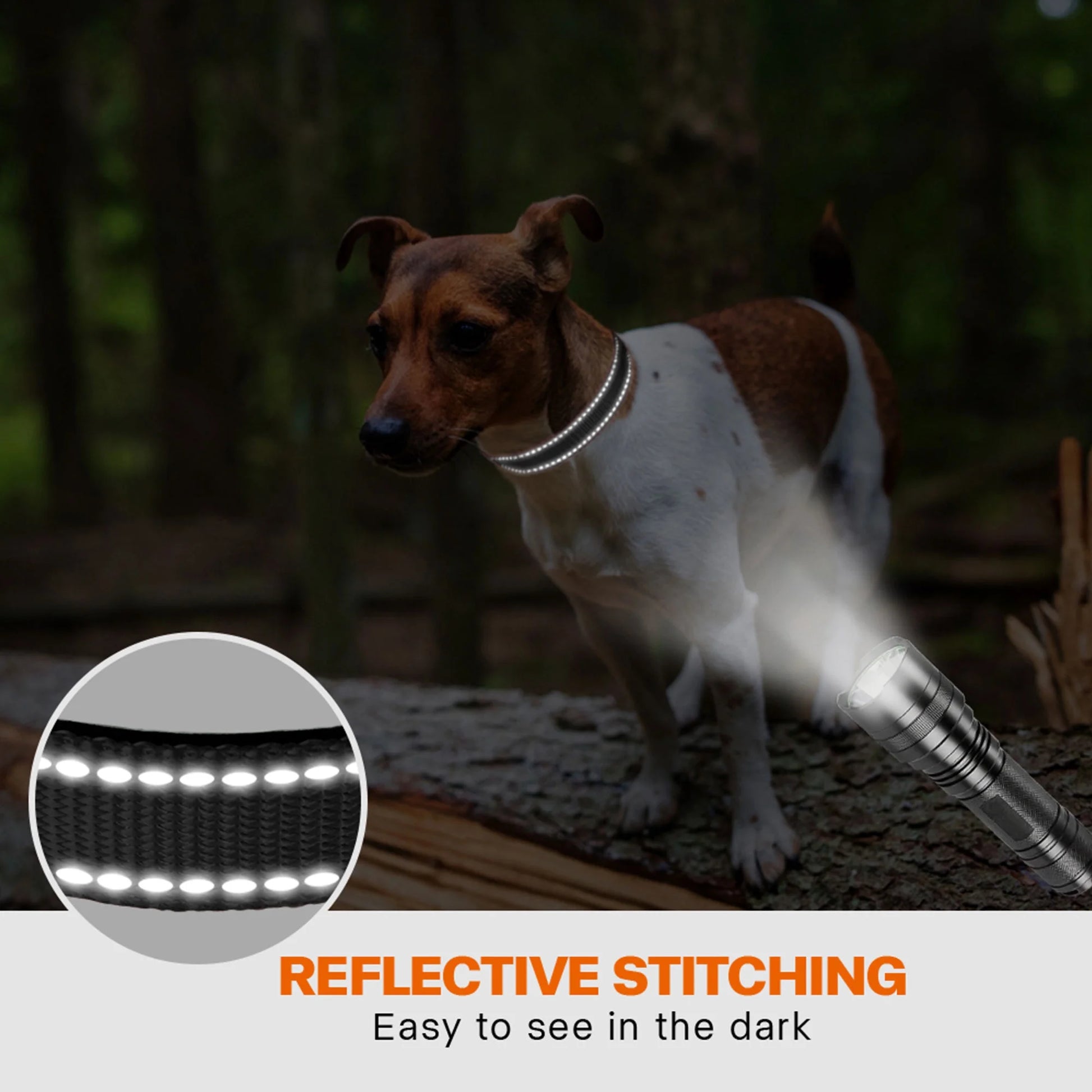 Reflective Dog Collar with Locking Buckle, Adjustable Nylon Collar for Small Dogs, Black