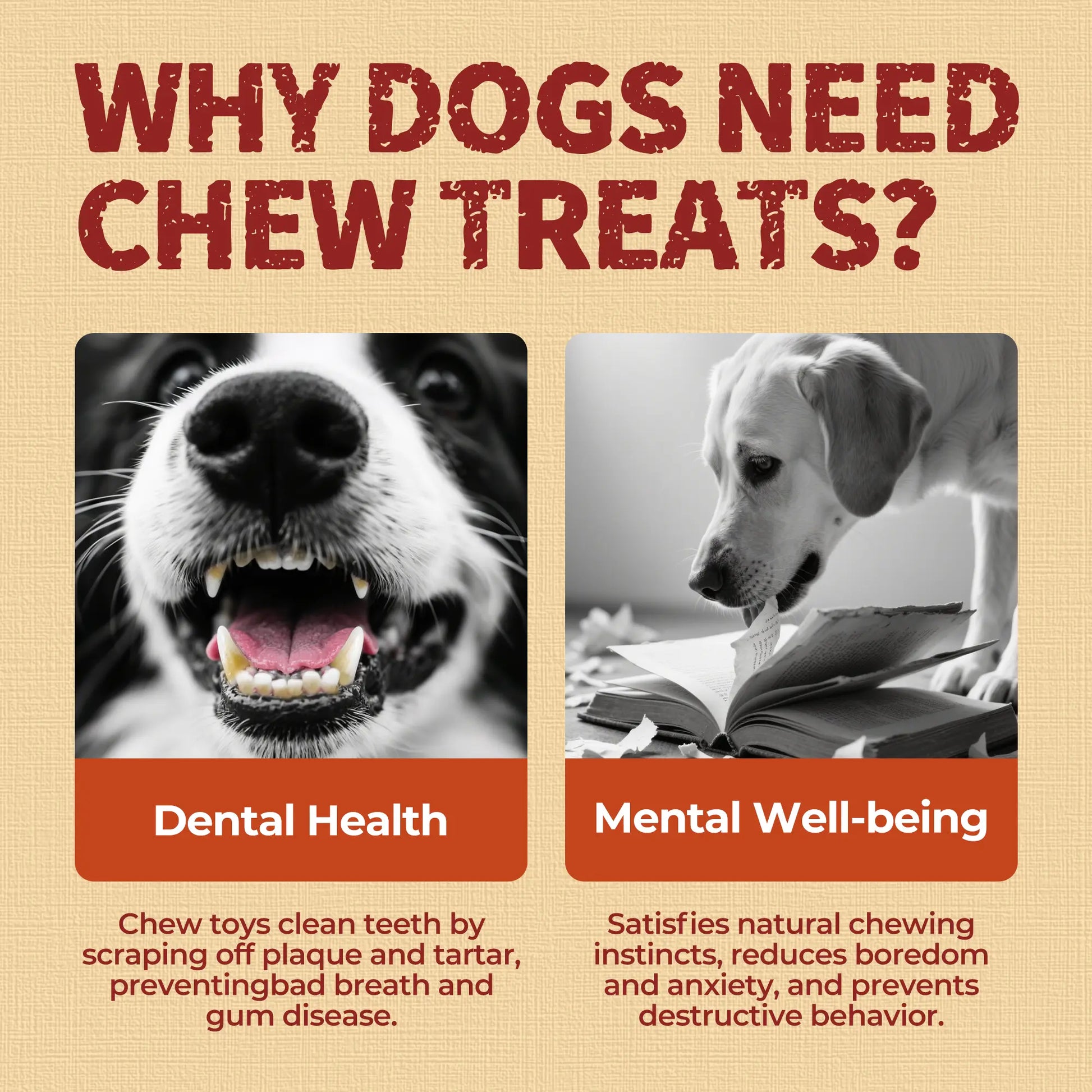 【Petlovers】Big Size Chicken Wrapped Beef Hide Dog Chew – Long Lasting Natural Treats for Aggressive Chewers (Medium & Large Dogs) | Just Try#Summervibes#Petlovers
