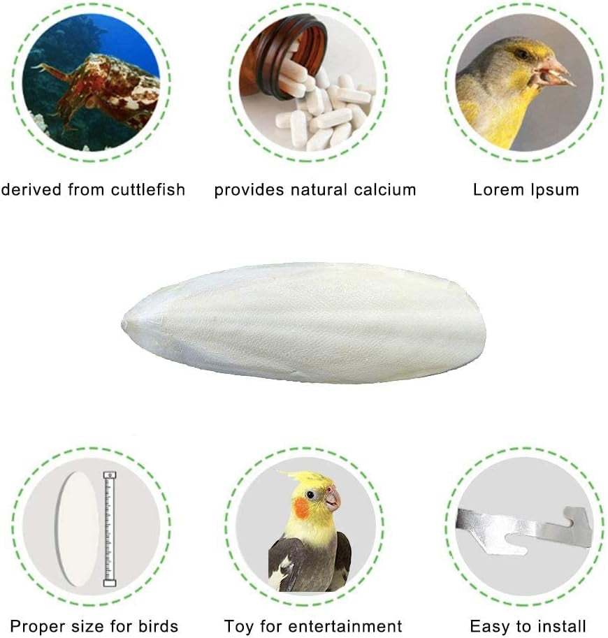 Natural Cuttlebone for Birds Parakeets Canaries Cockatiels Small Conures Mynahs Toucans African Greys All Parrots Snails Totoise, with Holder for Bird Cage (5.5-6 Inch,2Pcs)