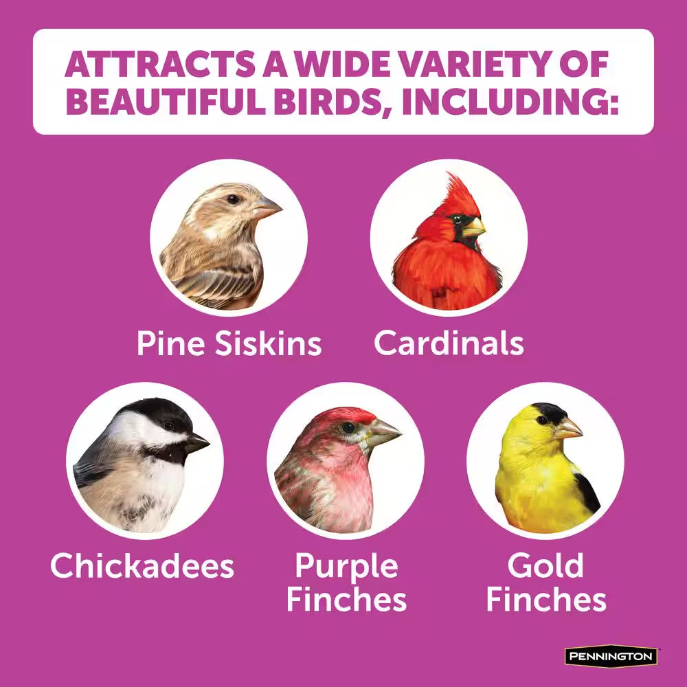 Ultimate 7 Lb. Nut and Fruit Bird Seed Food Blend Wild Bird Seed Mix